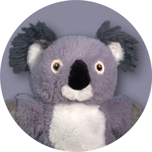Kenny Koala